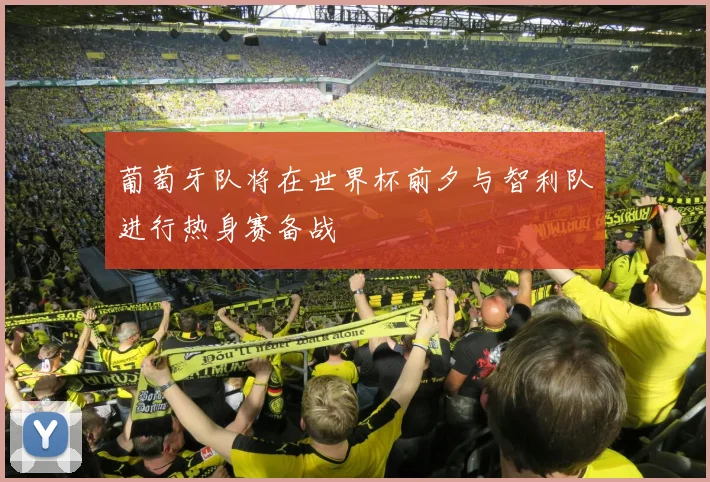 葡萄牙队将在世界杯前夕与智利队进行热身赛备战
