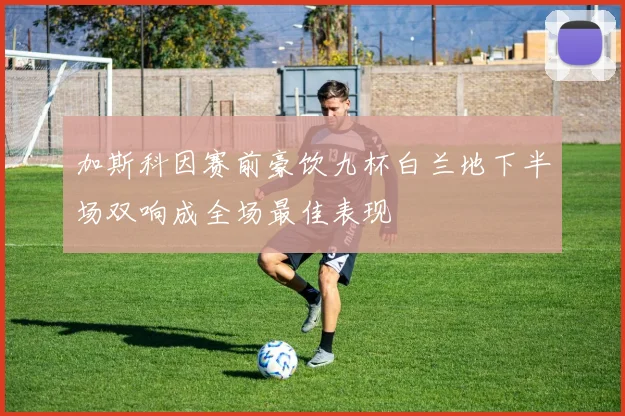 加斯科因赛前豪饮九杯白兰地下半场双响成全场最佳表现